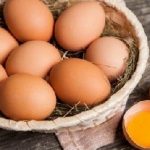 Why eggs should be present in our menu